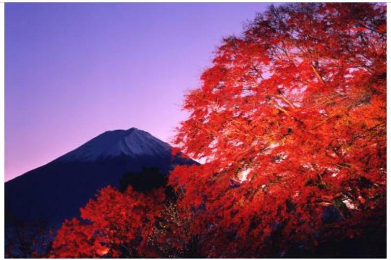 Erable Mt.Fuji "Kaze" Villa Fujikawaguchiko Eksteriør billede